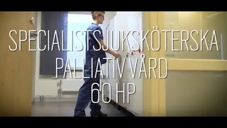 Jobbar du som sjuksköterska Vill du specialisera dig inom palliativ vård [upl. by Artied279]