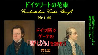 １ ゲーテ「野ばら」（シューベルト ヴェルナー）第2回 2（241022） [upl. by Greiner]