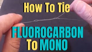 How to tie Fluorocarbon to Mono [upl. by Nnovahs]