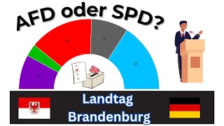 Kampf AFD gegen SPD  Landtagswahl Brandenburg 2024 6 [upl. by Sela616]