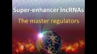 SE lncRNAs  The master regulators [upl. by Angelique359]