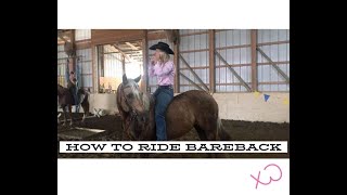 How To Ride Your Horse Bareback [upl. by Dasha]