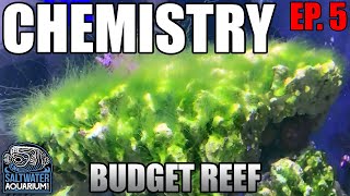 CHEMISTRY in a Budget Reef Tank  Nitrates Phosphates amp Alkalinity [upl. by Suolhcin973]