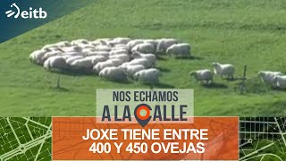 Joxe tiene entre 400 y 450 ovejas y según él conoce a todas y cada una de ellas [upl. by Asatan707]