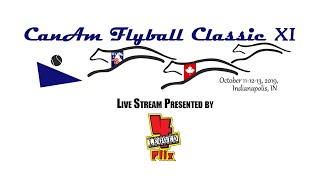 2019 CanAm Flyball Classic Red Ring  Sunday [upl. by Malvin719]