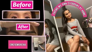 REFECTOCIL eyebrows tint at home practicemakesperfect 🤎 [upl. by Whitson]