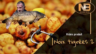 Tutoriel de Préparation des Noix Tigrées  Team Natural Baits [upl. by Leventis710]