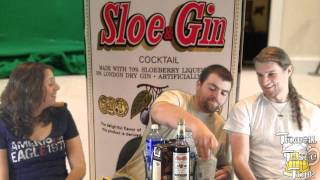 Mr Boston Sloe amp Gin Sloe Gin Fizz Review [upl. by White698]