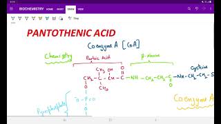 COENZYME A PANTOTHENIC ACID [upl. by Rehpotsyrhc]