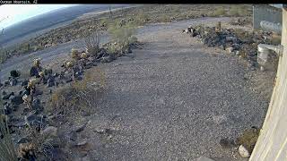 Timelapse Video of Oatman Mountain 20241125 [upl. by Martinic]