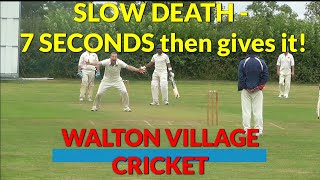 BIG SIXES  STUMPS CARTWHEELING  its WALTON vs TOP OF THE LEAGUE Walton village cricket [upl. by Martella]