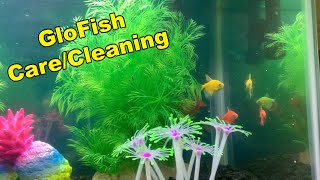 Beginners Guide To CaringCleaning A GloFish Tank  Tutorial [upl. by Thirion338]