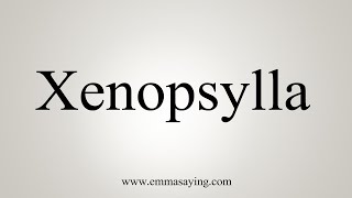 How To Say Xenopsylla [upl. by Einhorn]