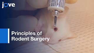 Principles of Rodent Surgery [upl. by Veedis]