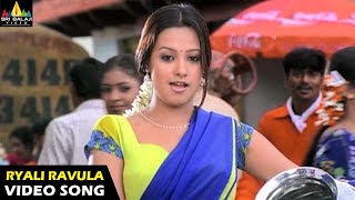 Nenunnanu Songs  Ryali Ravulapaadu Video Song  Nagarjuna Aarti Shriya  Sri Balaji Video [upl. by Namreh623]