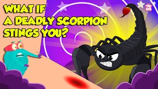 How Does Scorpion Sting  Scorpion Venom Effects  Most Deadliest Scorpions  Dr Binocs Show [upl. by Adnoraj659]