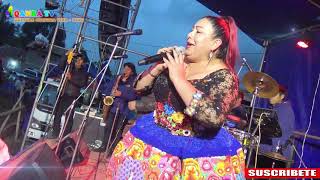 ADELA ANAYA 2020 MIX HUAYNOS FULL HD [upl. by Acyssej]