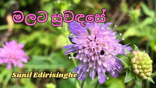 Malata Suwada Se මලට සුවඳසේ  Sunil Edirisinghe sinhala song sinhalasongs sinhalasong [upl. by Ecilahs]