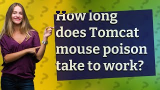 How long does Tomcat mouse poison take to work [upl. by Healy434]