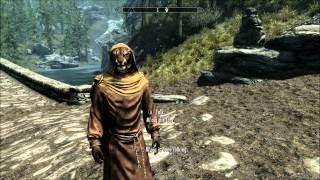 Skyrim Funny Moments [upl. by Mirabella]