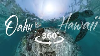 Take a 360° Video Tour of Oahu Hawaii [upl. by Gorski]