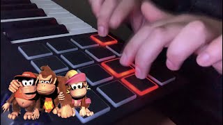 Stickerbrush Symphony  Bramble Blast  Donkey Kong Country 2 Cover [upl. by Lonny817]