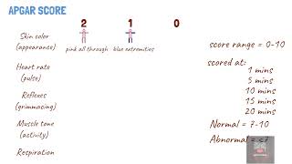 APGAR SCORE [upl. by Springer]