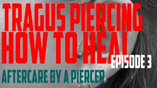 Tragus Piercing How to Heal 2020  Piercing Aftercare Instructions by a PIercer EP03 [upl. by Puri]