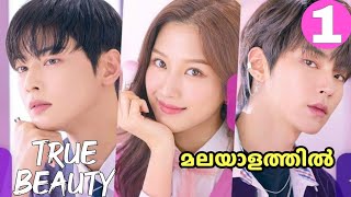 School Love Triangle 😍💞 Episode1  True Beauty  sivakdrama [upl. by Manton]