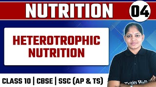 NUTRITION  04  Heterotrophic Nutrition  Biology  Class 10CBSESSC AP amp TS [upl. by Erdnaet731]