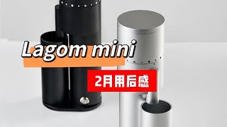 Optiono Lagom mini coffee grinder  Feedback after 2 months using [upl. by Atinwahs587]