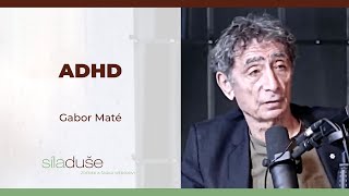 ADHD  Gabor Maté [upl. by Syverson]