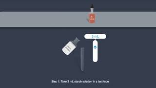 Starch Iodine test [upl. by Neelyt850]