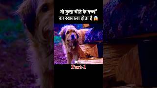 वो कुत्ता अपना फ़र्ज़ निभाता है  dog movie emotional shorts [upl. by Epp553]