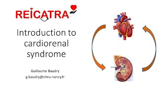 39 Introduction au syndrome cardiorénal  Guillaume Baudry [upl. by Jarv93]