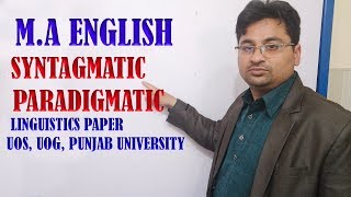 SYNTAGMATIC AND PARADIGMATIC IN URDU HINDI [upl. by Link372]