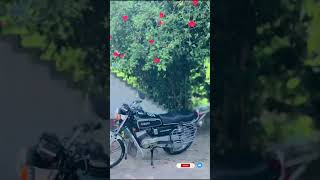 Rx 100 Modified rx100v rx100yamaha rx100 royalenfield rx100 [upl. by Karoly]