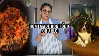 DIY Homemade Dog Food Recipe Simple Chicken and Rice Vet Approved For Healthy Dog  Cooking [upl. by Lonyer106]