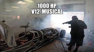 1000HP V12 SYMPHONY Amazing V12 Engine Sound Experience [upl. by Llij]