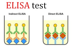 ELISA test [upl. by Atikram]