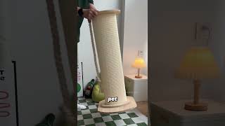 The Natural Fiber Behind Cat Scratching Posts sisal [upl. by Acsehcnarf]