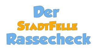 Rassecheck  wie bewerten wir die Hunde in unserer Videoreihe [upl. by Vincenta]