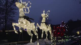 Foxton Locks Illuminated Festival HD [upl. by Thera770]