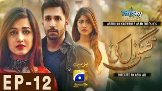 Tishnagi Dil Ki  Episode 12 [upl. by Aba738]