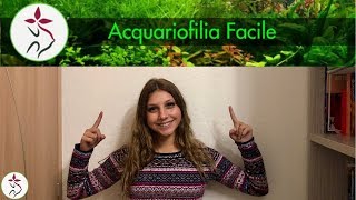 I PRIMI PASSI PER UN ACQUARIO FACILE parte 1 [upl. by Perlman]