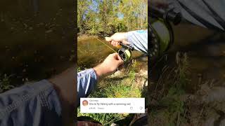 Creek Bugz  Fly Rod  🤷‍♂️ jesus nrvbaits fishing fish flyfishing trout [upl. by Alliuqat]