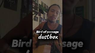 Bird of passage acoustic dustbox original dustbox acoustic cover fypシ゚ [upl. by Reuven43]