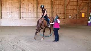 My first Horseback Riding Lesson [upl. by Trinatte493]