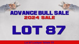 Lot 87 Lockyer Teltale T4 [upl. by Notterb787]