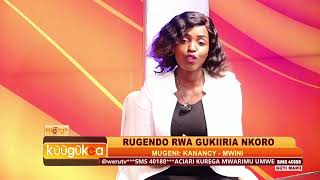 RUGENDO RWA GUKIIRIA NKORO [upl. by Tibbetts6]